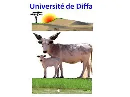 logo universite